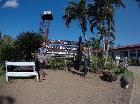 An Ex-Situ Adventure: Palawan Crocodile Farm | Feetpillars