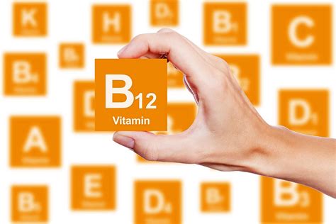 B Vitamins Explained | MyFoodDiary