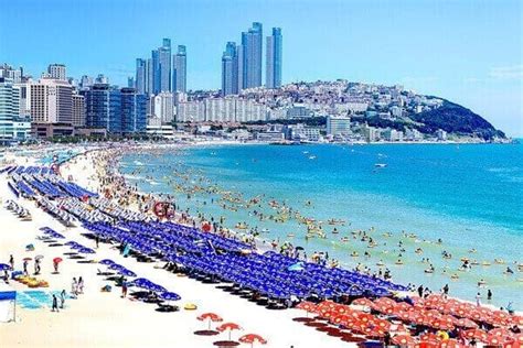 haeundae-beach-busan (1) - Trazy Blog