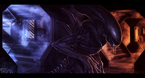 ::Xenomorph:: by sangheili117 on DeviantArt