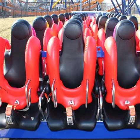 Verkäufer Praktisch Gegenstand roller coaster seat belt Pflegeeltern ...