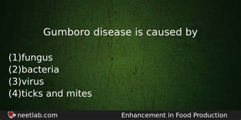 Gumboro disease is caused by - NEETLab