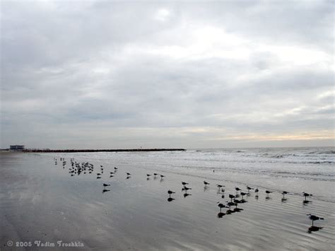 GALVESTON.COM: Galveston Island Beaches | Scenes from Galves… | Flickr