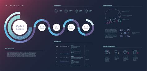 The Sleep Cycle Infographic on Behance