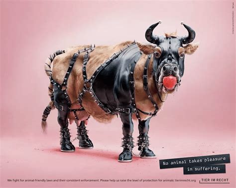 Bold Anti-Animal Cruelty Campaign Uses Provocative Images to Convey Their Advocacy| UK Pets