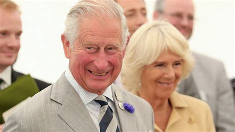 Prince Charles and Camilla send royal fans the sweetest picture after celebrating their wedding ...