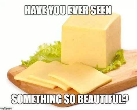 35 Funny Cheese Memes With Extra Cheesiness