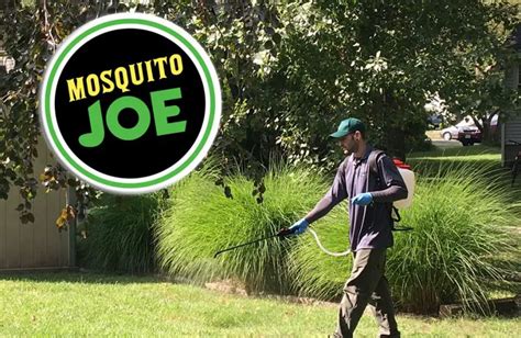 Mosquito Joe Franchise Review: Are They Worth The Cost?