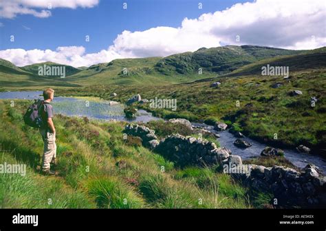 Scottish hill walking male hill walker beside burn in Galloway Hills Scotland UK Stock Photo - Alamy