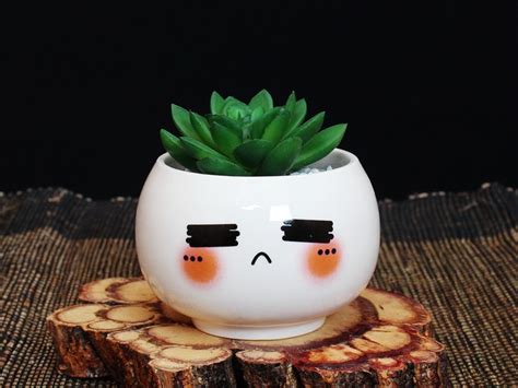 Ceramic Succulent Pot With Expressive Faces And Seeds - BestSeedsOnline ...