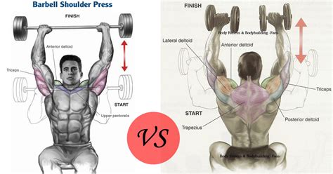 Dumbbell Versus Barbell Shoulder Press – Proper Technique & Benefits