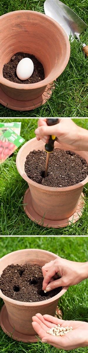 Planting a vegetable garden in pots - 101 Gardening