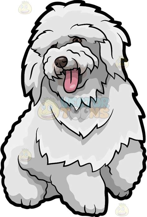 A Fluffy White Bichon Frise Dog | Poodle drawing, Bichon frise dogs, Dog clip art