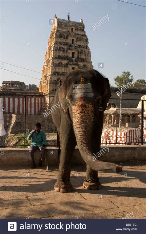 Virupaksha Temple Elephant Stock Photos & Virupaksha Temple Elephant Stock Images - Alamy