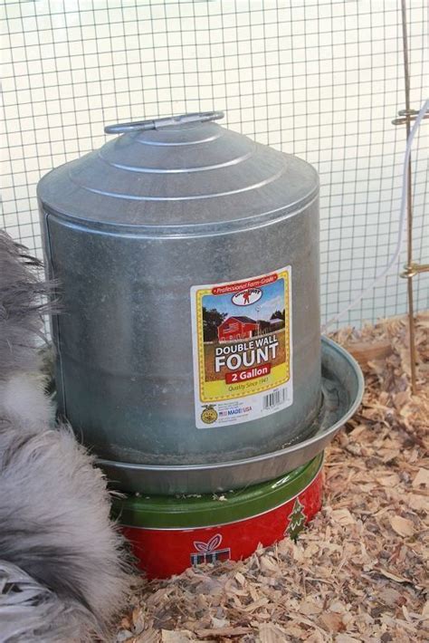 Cookie Tin Heater For Water | Chicken waterer, Chicken diy, Heated chicken waterer