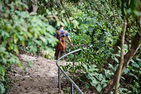 Thung Nham Bird Garden - Highlights & best visiting times