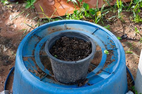 Premium Photo | Composted soil in pots and basins