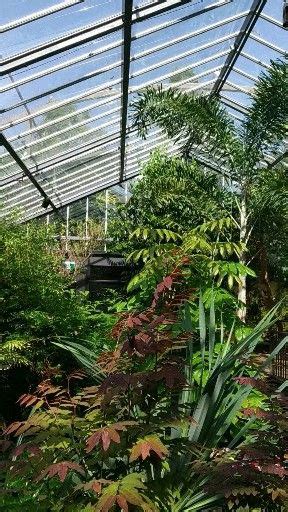 the inside of a greenhouse with lots of trees and plants in it's center