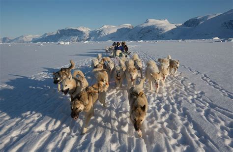 Impact of Environmental Change on Livelihood in Greenland | LH