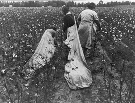 Cotton-wage dispute was win for Black women | The Arkansas Democrat-Gazette - Arkansas' Best ...