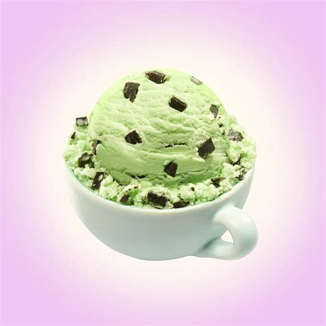 Scoop Of Mint Chocolate Chip Ice Cream Photograph by Annabelle Breakey