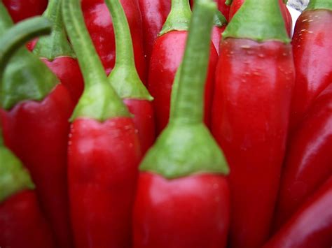 Free picture: hot, chilli, vegetable