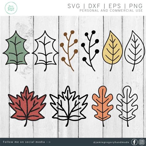 Fall Leaves Svg Bundle Fall Leaf Svg Bundle Fall Leaves | Etsy