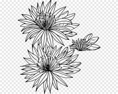 Bitterroot Flower Tattoo | Best Flower Site