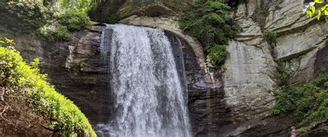 Pisgah National Forest - Go Wandering