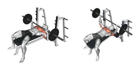 How to do Barbell Bench Press | Chest Workout | StrengthBuzz