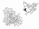Parasail Coloring Pages sketch template