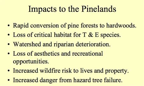 WolfeNotes.com » Climate Change Already Impacting Pinelands Forests