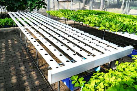 NFT Hydroponic System Explained – Proponics