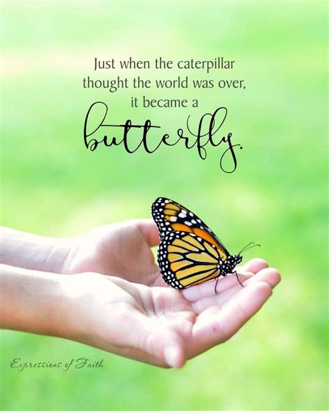Inspirational Butterfly Wall Art Fine Art Photography | Etsy Butterfly Artwork, Butterfly Quotes ...