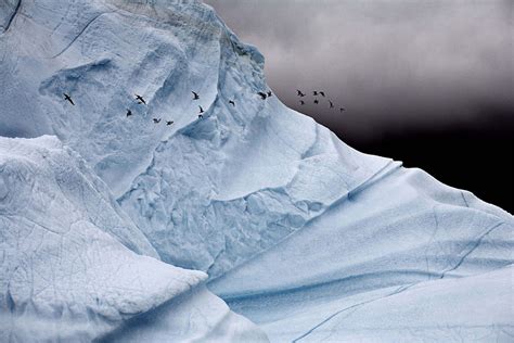 Melting Ice Photography_6 – Fubiz Media