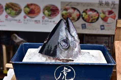 Tsukiji Fish Market – Maris Around the World