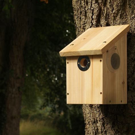 Bird Nest Box | Everything Wildlife – Everything Wildlife UK