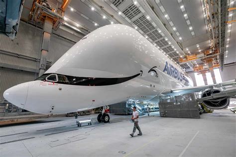 Airbus unveils sixth and final Beluga XL with special livery - Air Data ...