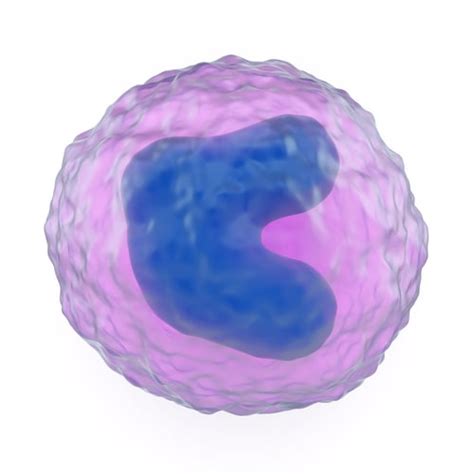 Proteomics Investigates Monocyte Differentiation