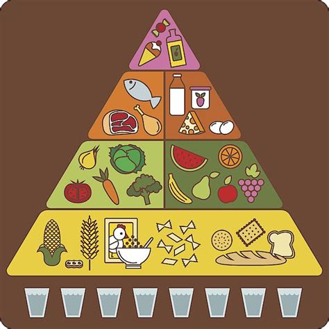 the food pyramid is filled with different foods