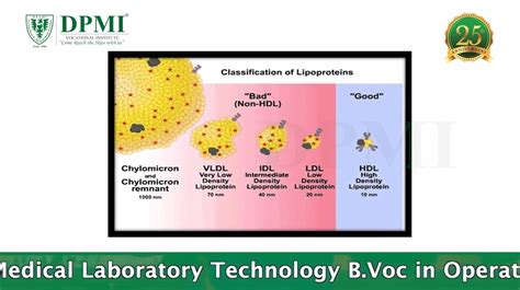 Lipoproteins? Types Of Lipoproteins: Cholesterol Metabolism, LDL & HDL ...