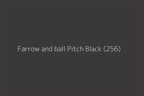 Farrow and ball Pitch Black (256) Color HEX code