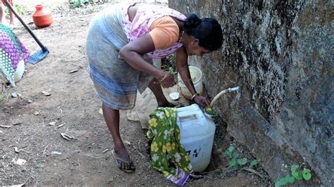 How authentic Goan feni is made