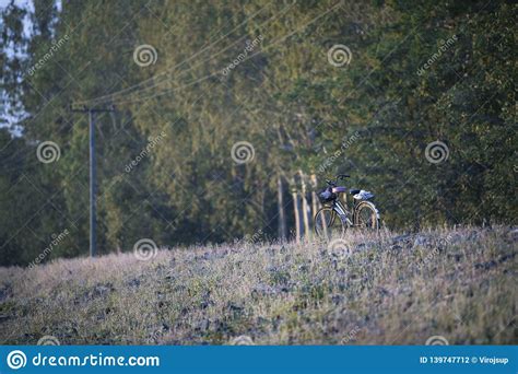 Landscape, Countryside View in Thailand Stock Photo - Image of sarakham ...