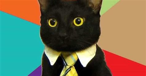 Business Cat Meme | List of Funny Business Cats