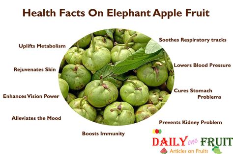 Amazing Health Facts on Elephant Apple Fruit - dailyonefruit