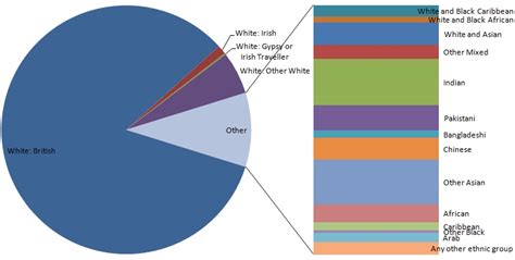 2011 Census – Ethnicity | Surrey-i