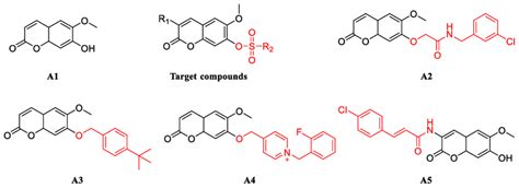 Chemical structures of scopoletin (A1) and its synthetic analogues (A2 ...