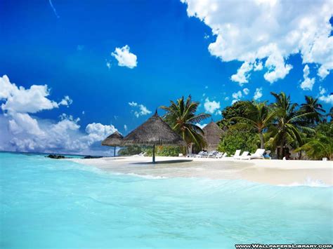 129 Beach Wallpaper Examples To Put On Your Desktop Background