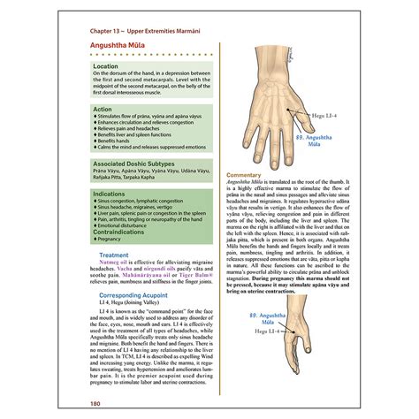 Marma Points of Ayurveda - Softcover by Dr. Vasant Lad – Ayurvedic Institute